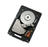 IBM EXPRESS 500GB HS SATA HDD